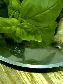 Basil pesto recipe - basil essential oils- Anayennisi Aromatics