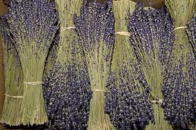 Dried lavender for soap