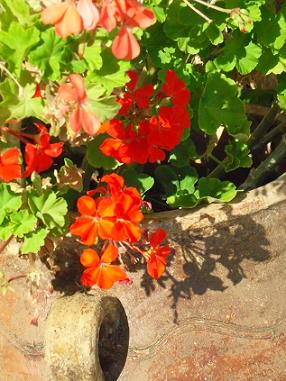 How to make homemade soap - Jasmine,Frankincense and Geranium Soap - Exotic and soothing.