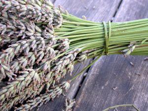 Homemade soap recipes - chamomile and lavender