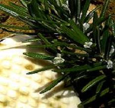  homemade soap recipes Anayennisi Aromatics