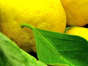 Natural Homemade Cleaning Products. Aromatherapy essential oils guide, to natural household cleaning solutions using Lemon