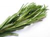 Rosemary herb - rosemary essential oil- Anayennisi Aromatics